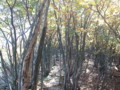 20151017194314