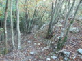 20151017194320