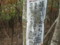 20151017194331