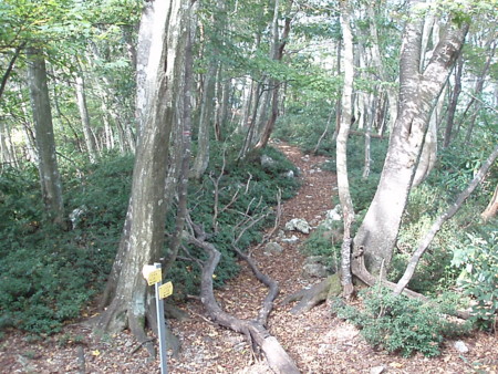 20151017194333