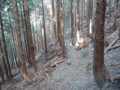 20151017194338
