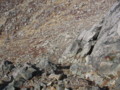 20151024213026
