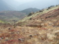 20151024213031