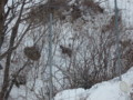 20160123201929