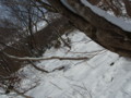 20160123201934