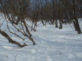 20160123201935