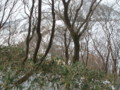 20160123201936