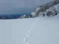 20160123201954