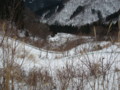 20160123203323