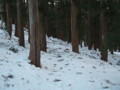 20160131192627