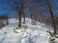 20160131192630