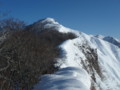 20160131192635