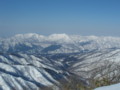 20160131193539