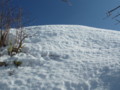 20160131193544