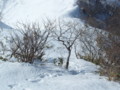 20160131193553
