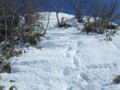 20160131193554