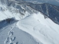 20160131193557
