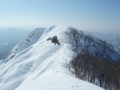 20160131193558