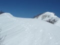 20160131193601