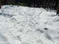 20160131193604