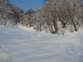20160227191229 20160227191229