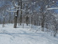 20160227191234 20160227191234