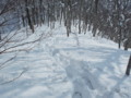 20160227191235 20160227191235