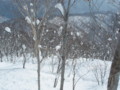 20160227191236 20160227191236