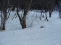 20160305193336