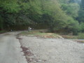 20160424174620