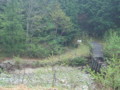 20160424174621