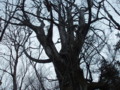 20160424174627