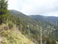 20160424174650