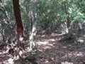 20160508181539