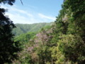 20160508181540