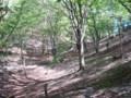 20160508181546