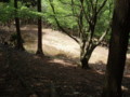 20160508181550