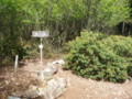 20160508181553