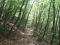 20160508181555