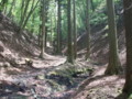 20160508181558