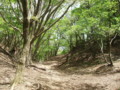 20160508181559