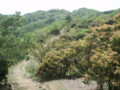 20160508181606