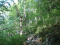 20160530205354