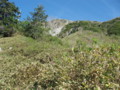 20160530205356