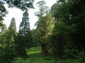 20160618211837