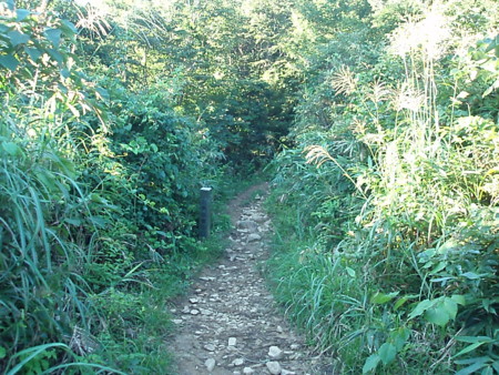 20160904054533