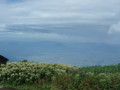 20160904054543