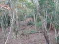 20161023155835