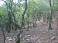 20161023155836