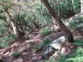 20161023155842
